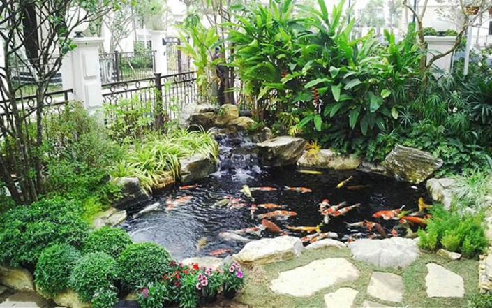 Sân vườn đẹp đơn giản với hồ cá koi